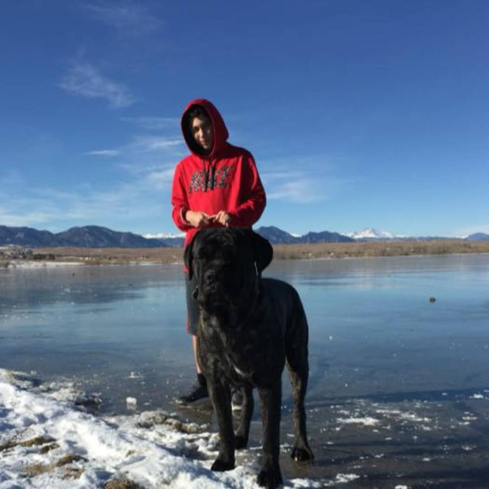 Meet your Posher, Julian